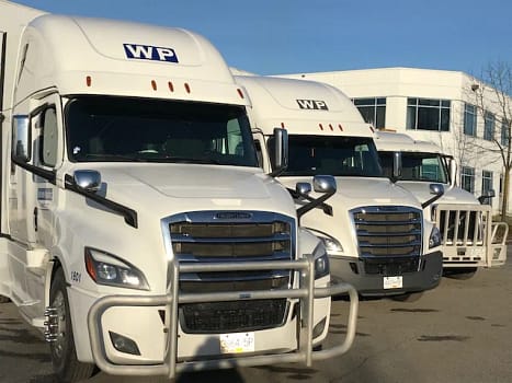 Wp Transport Ltd fleet