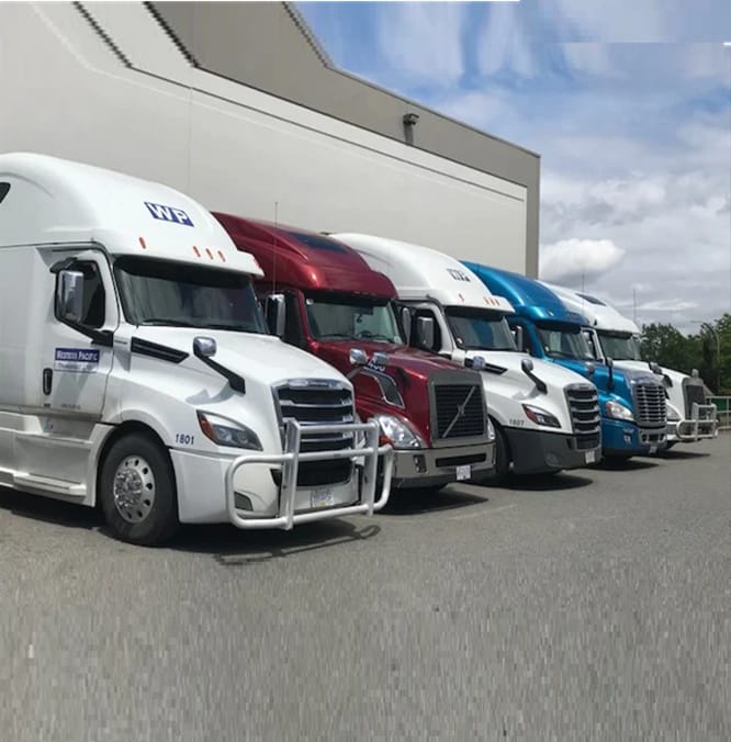Wp Transport Ltd fleet